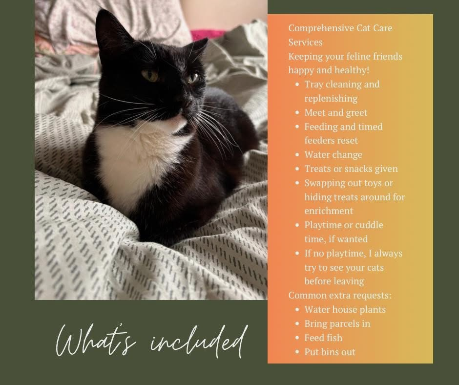 Curl Up Club service summary card titled What is included: tray cleaning and replenishing, meet and greet, feeding and timed feeders reset, water change, treats or snacks given, swapping toys or hiding treats for enrichment, playtime or cuddle time if wanted, plus common extras such as watering plants, bringing in parcels, feeding fish and putting bins out